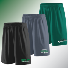 Ridley Fall Sports Mesh Shorts